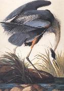 John James Audubon Great Blue Heron Sweden oil painting artist